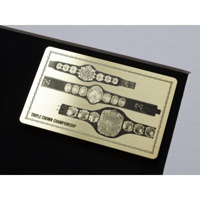 画像6: ★今なら【天龍源一郎】サイン入り！★三冠ベルトメモリアルパネル（ゴールドメタルプレート付き）mana