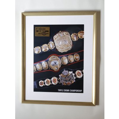 画像4: ★今なら【天龍源一郎】サイン入り！★三冠ベルトメモリアルパネル（ゴールドメタルプレート付き）mana