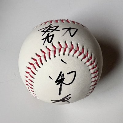 画像6: ★証明書付&インスク各種入り!★西本聖50周年アニバーサリーグッズ【ロゴ入りボール】【手形色紙】【ロゴ入り色紙】