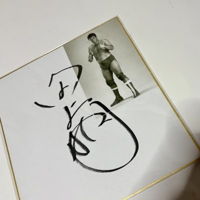 画像1: ★事務所移転企画【最大50％OFF】!!★田上明【直筆サイン入り色紙】B