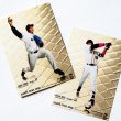 画像4: Baseball Trial Lesson（ベースボール・トライアル・レッスン）イベント【ゲスト：東野峻＆大田泰示さん】（2025・6・22高円寺） (4)