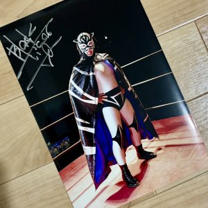 画像: ★事務所移転企画【最大50％OFF】!!★ブラックタイガーV選手サイン入りポートレート